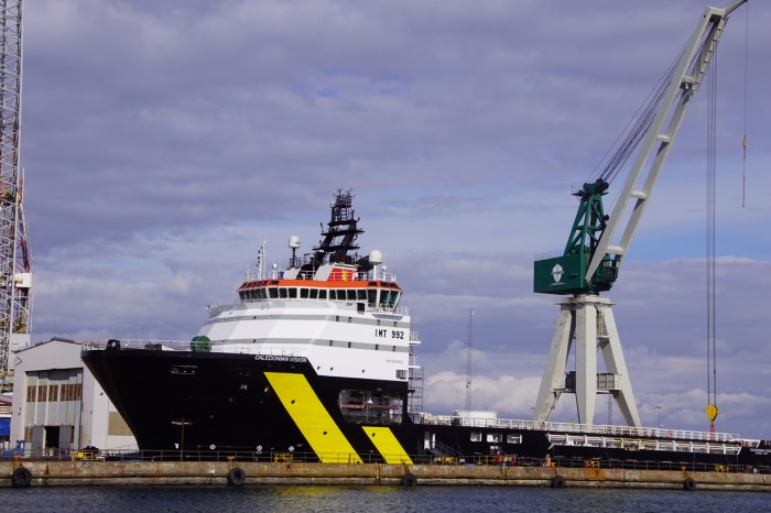 Caledonian Vision